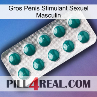Gros Pénis Stimulant Sexuel Masculin dapoxetine1